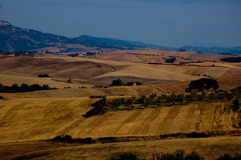DSC_0412b.jpg