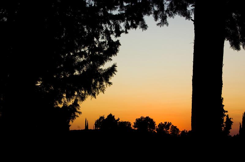 DSC_0556b.jpg